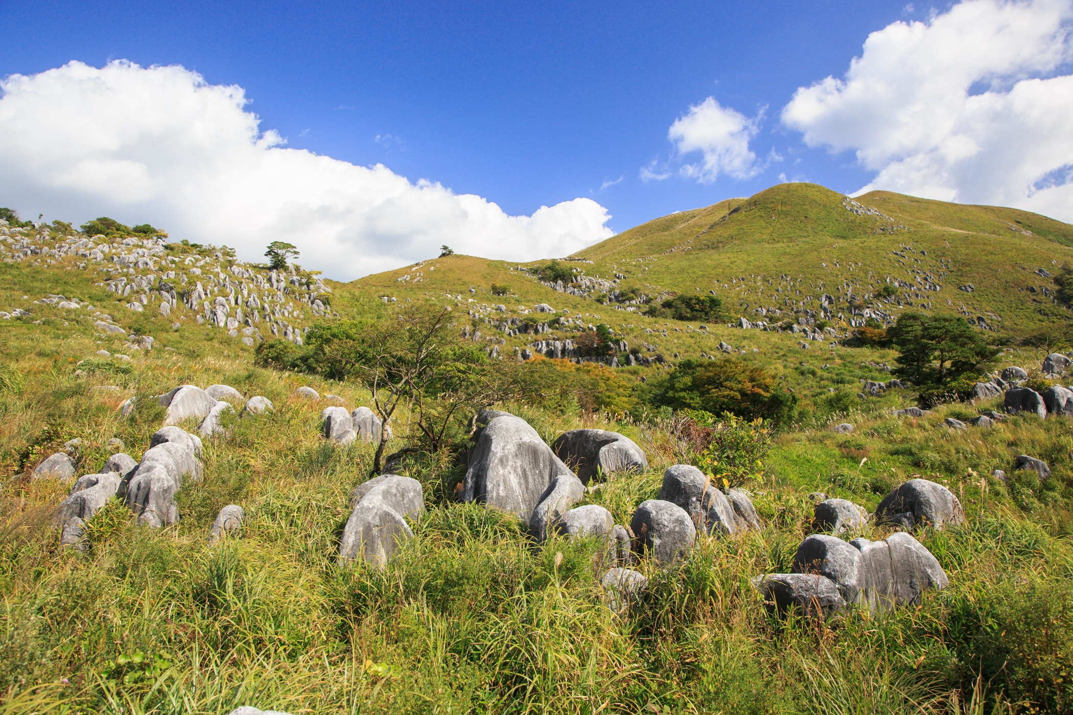 Hiraodai karst plateau in Kitakyushu